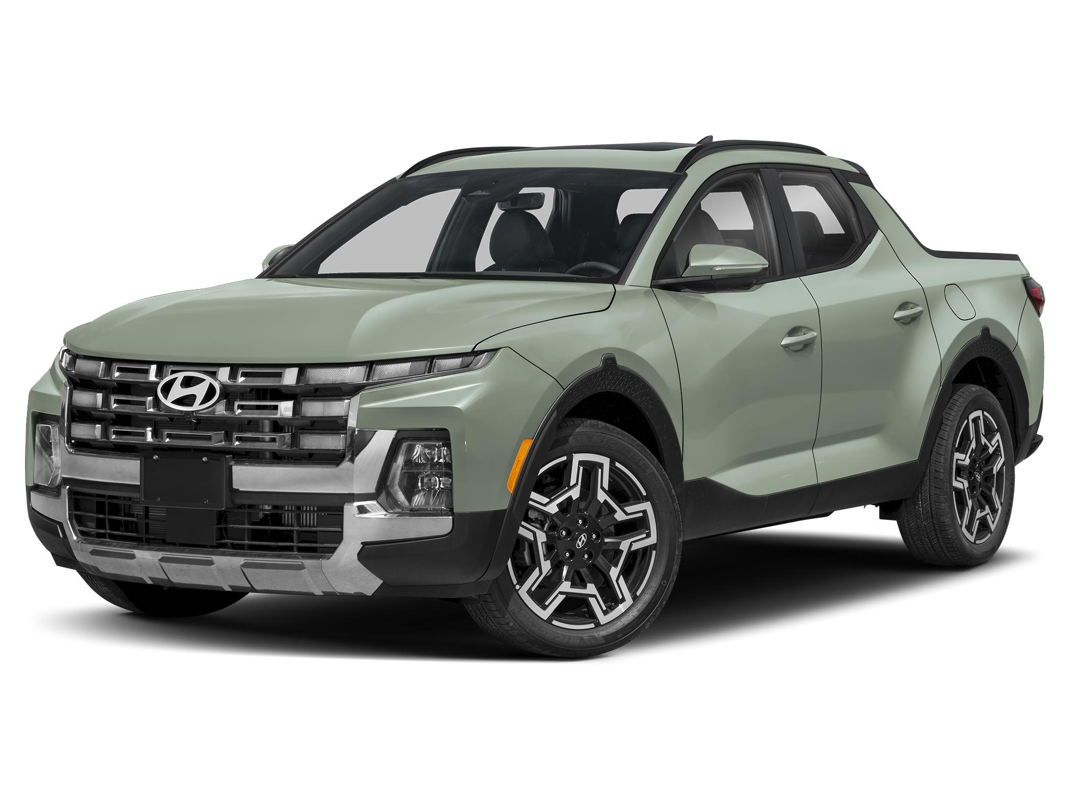 Santa Cruz Limited — Sage Gray